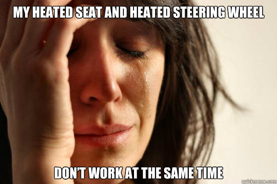 My heated seat and heated steering wheel don’t work at the same time  First World Problems
