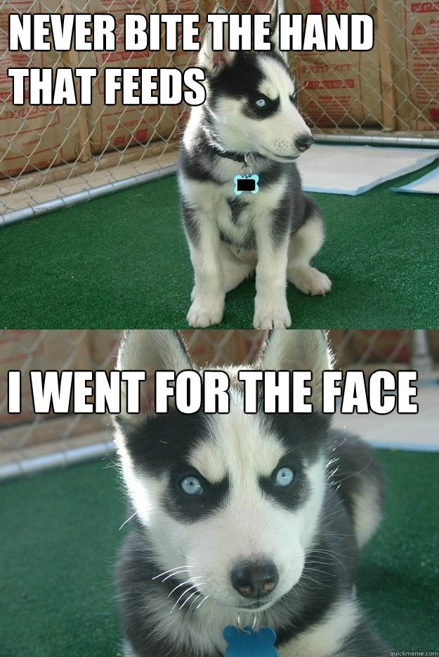 Never bite the hand that feeds I went for the face  Insanity puppy