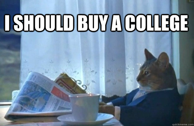 I Should buy a college  Sophisticated Cat
