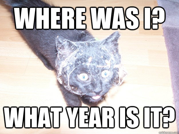 Where was i? what year is it?  amazedkitten