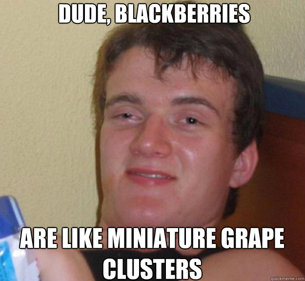Dude, Blackberries Are like miniature grape clusters  ten guy