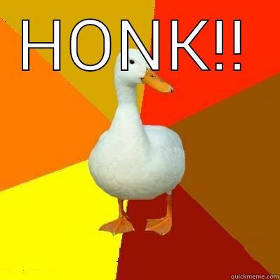 HONK!!  Tech Impaired Duck