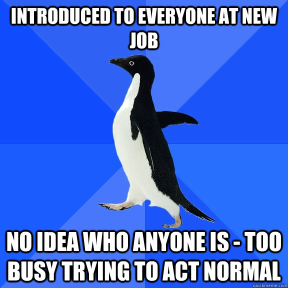 iNTRODUCED TO EVERYONE AT NEW JOB nO IDEA WHO ANYONE IS - TOO BUSY TRYING TO ACT NORMAL  Socially Awkward Penguin