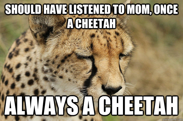 SHOULD HAVE LISTENED TO MOM, once a Cheetah ALWAYS A CHEETAH  SAD CHEETAH