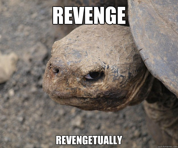 Revenge Revengetually  Insanity Tortoise