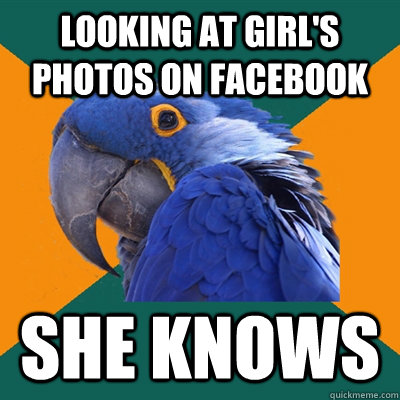 Looking at girl's photos on facebook she knows - Looking at girl's photos on facebook she knows  Paranoid Parrot