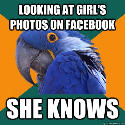Looking at girl's photos on facebook she knows  Paranoid Parrot