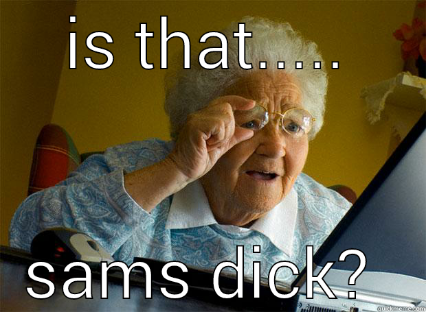 IS THAT..... SAMS DICK?  Grandma finds the Internet