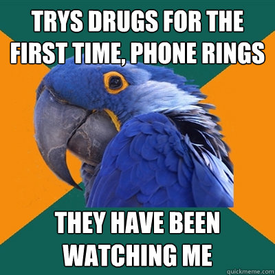 trys drugs for the first time, phone rings THEY HAVE BEEN WATCHING ME  Paranoid Parrot