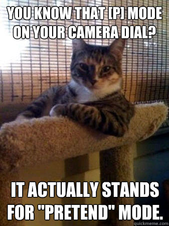 You know that [P] Mode on your Camera Dial? It actually stands for 