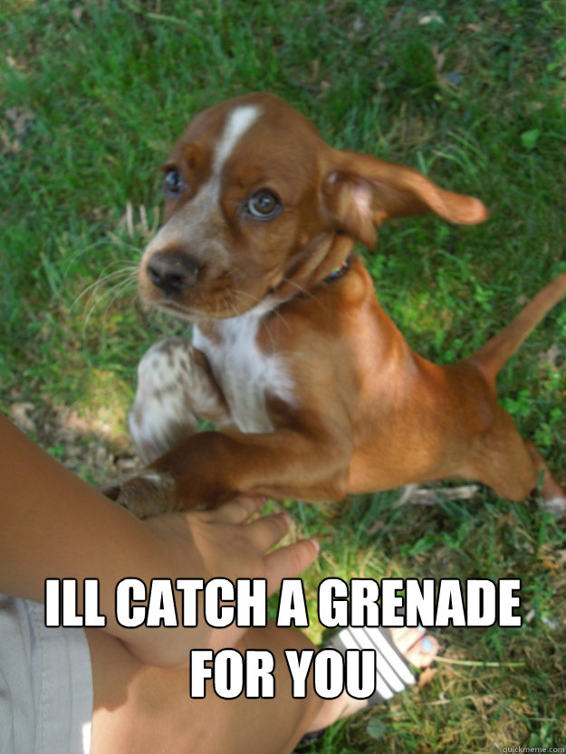 ill catch a grenade for you - ill catch a grenade for you  Lil badger