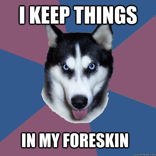 I KEEP THINGS IN MY FORESKIN  Creeper Canine