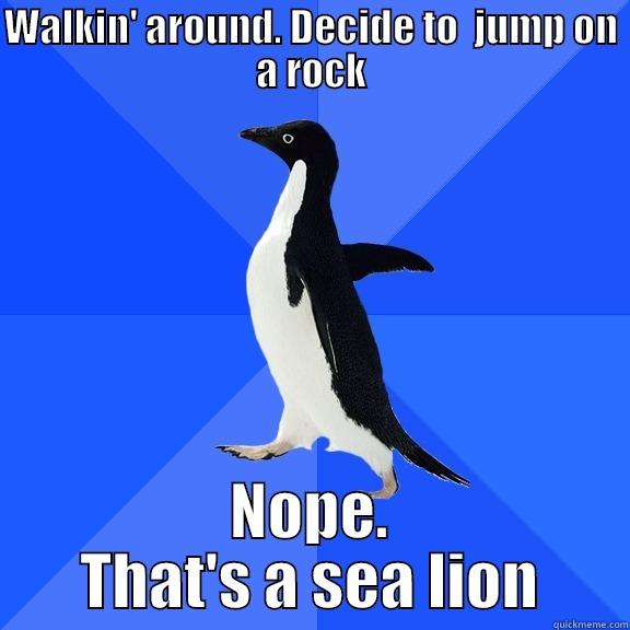 WALKIN' AROUND. DECIDE TO  JUMP ON A ROCK NOPE. THAT'S A SEA LION Socially Awkward Penguin