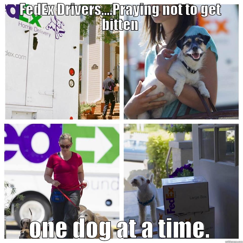 FEDEX DRIVERS....PRAYING NOT TO GET BITTEN ONE DOG AT A TIME. Misc