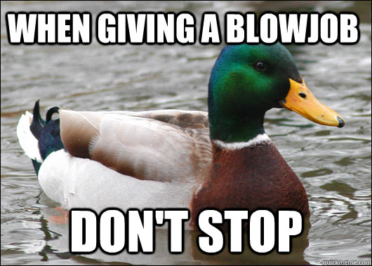 When giving a blowjob don't stop - When giving a blowjob don't stop  Actual Advice Mallard
