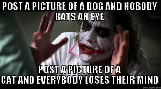POST A PICTURE OF A DOG AND NOBODY BATS AN EYE POST A PICTURE OF A CAT AND EVERYBODY LOSES THEIR MIND Joker Mind Loss