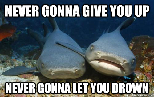never gonna give you up never gonna let you drown  Compassionate Shark Friend