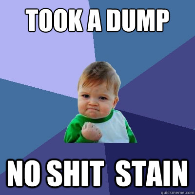 Took a dump no shit  stain  Success Kid