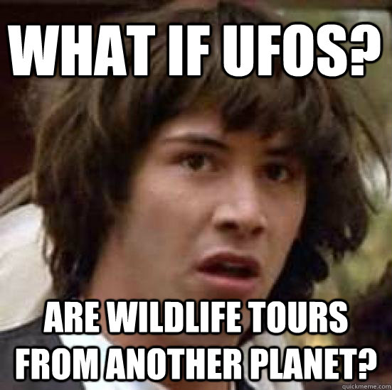 what if ufos? are wildlife tours from another planet?  conspiracy keanu