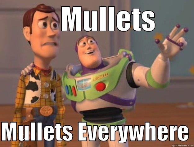      MULLETS  MULLETS EVERYWHERE Toy Story