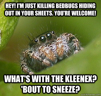 Hey! I'm just killing bedbugs hiding out in your sheets. You're welcome! What's with the kleenex? 'bout to sneeze? - Hey! I'm just killing bedbugs hiding out in your sheets. You're welcome! What's with the kleenex? 'bout to sneeze?  Misunderstood Spider