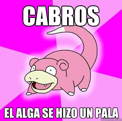 Cabros El Alga se hizo un Pala  Slowpoke