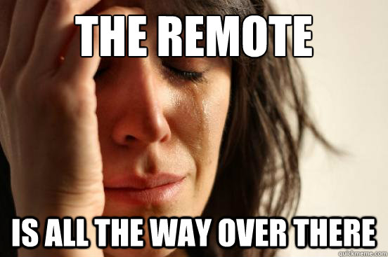 The remote is all the way over there  First World Problems