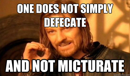 One Does Not Simply defecate and not micturate  Boromir