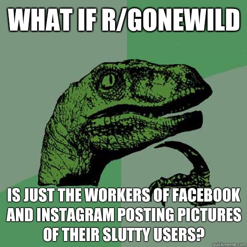 What if r/gonewild Is just the workers of facebook and instagram posting pictures of their slutty users?  Philosoraptor