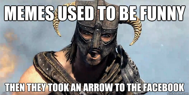 Memes used to be funny then they took an arrow to the facebook  Skyrim time wasting