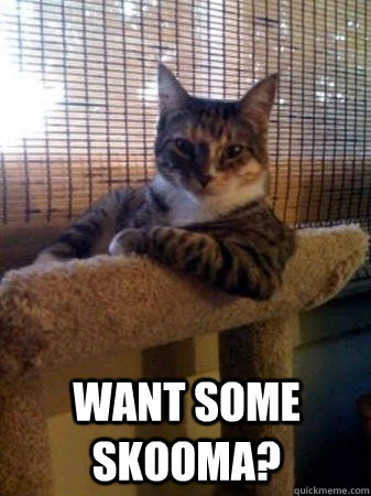 want some skooma? -  want some skooma?  The Most Interesting Cat in the World