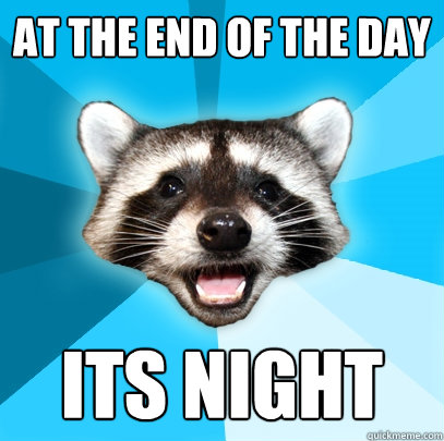 AT THE END OF THE DAY ITS NIGHT  Lame Pun Coon