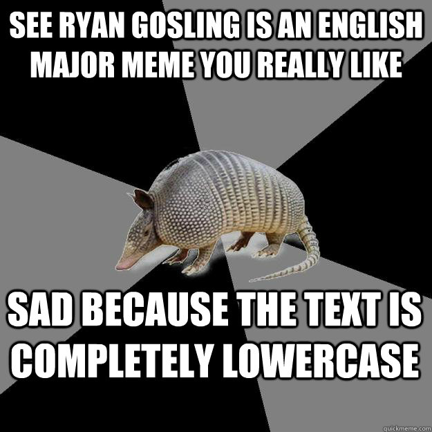 See Ryan Gosling is an English Major meme you really like Sad because the text is completely lowercase  English Major Armadillo