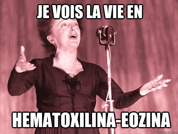 Je vois la vie en HEMATOXILINA-EOZINA  