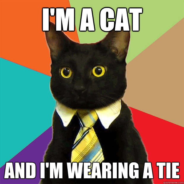 I'M A CAT AND I'M WEARING A TIE - I'M A CAT AND I'M WEARING A TIE  Business Cat