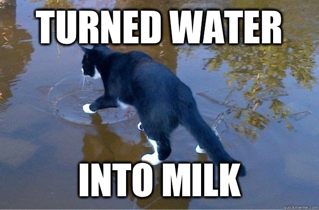 Turned water  Into milk  Jesus Cat
