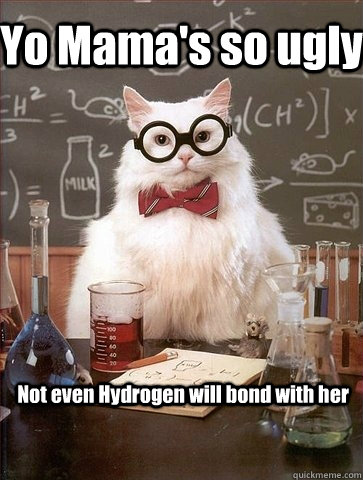 Yo Mama's so ugly Not even Hydrogen will bond with her  Chemistry Cat