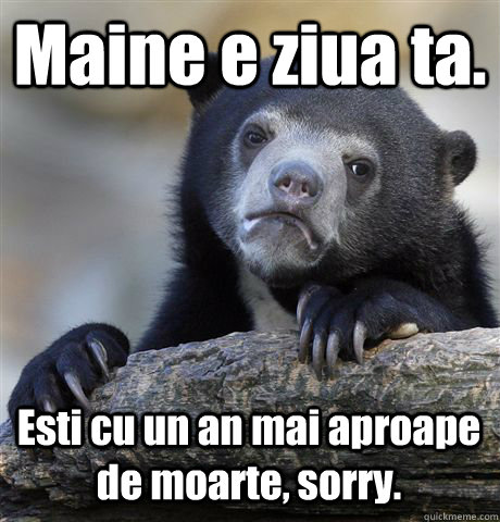 Maine e ziua ta. Esti cu un an mai aproape de moarte, sorry.  Confession Bear