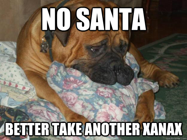 No Santa Better take another xanax  Sad Dog