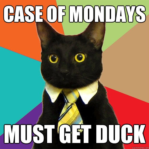 Case of Mondays must Get Duck  Business Cat