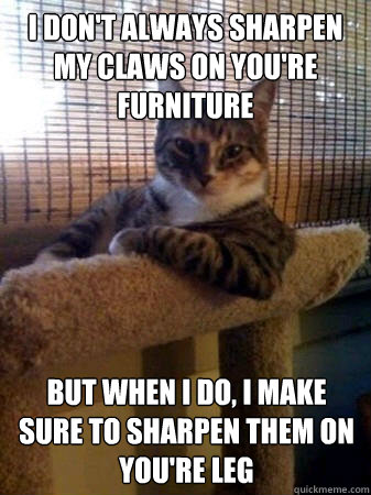 I don't always sharpen my claws on you're furniture but when I do, I make sure to sharpen them on you're leg  The Most Interesting Cat in the World