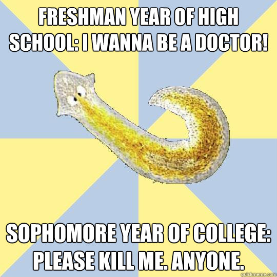 Freshman year of high school: I wanna be a doctor! Sophomore year of college: Please kill me. Anyone.  Bio Major Planarian