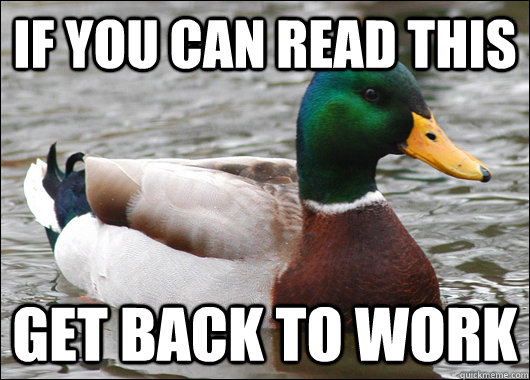If you can read this Get back to work  Actual Advice Mallard