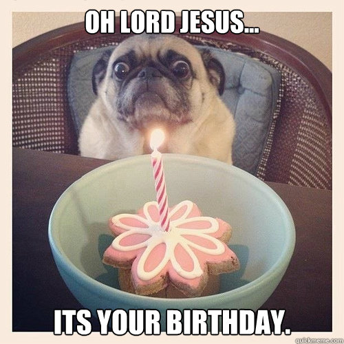 Oh lord jesus... Its your birthday. Caption 3 goes here Caption 4 goes here  Scared birthday pug