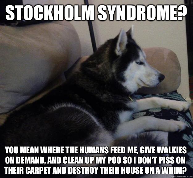 Stockholm syndrome? you mean where the humans feed me, give walkies on demand, and clean up my poo so i don't piss on their carpet and destroy their house on a whim?  - Stockholm syndrome? you mean where the humans feed me, give walkies on demand, and clean up my poo so i don't piss on their carpet and destroy their house on a whim?   Dismissive Husky