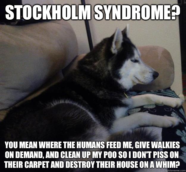 Stockholm syndrome? you mean where the humans feed me, give walkies on demand, and clean up my poo so i don't piss on their carpet and destroy their house on a whim?   Dismissive Husky
