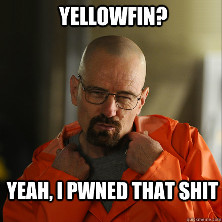 YellowFin? Yeah, I PWNED that shit - YellowFin? Yeah, I PWNED that shit  Sexy Walter White