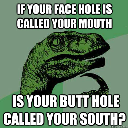 if your face hole is called your mouth  is your butt hole called your south?  Philosoraptor