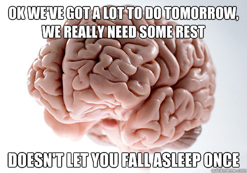 ok we've got a lot to do tomorrow, we really need some rest doesn't let you fall asleep once  Scumbag Brain
