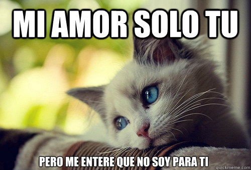 mi amor solo tu pero me entere que no soy para ti    First World Problems Cat